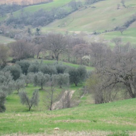 Agriturismo Casa Fibbianello Semproniano Eksteriør bilde