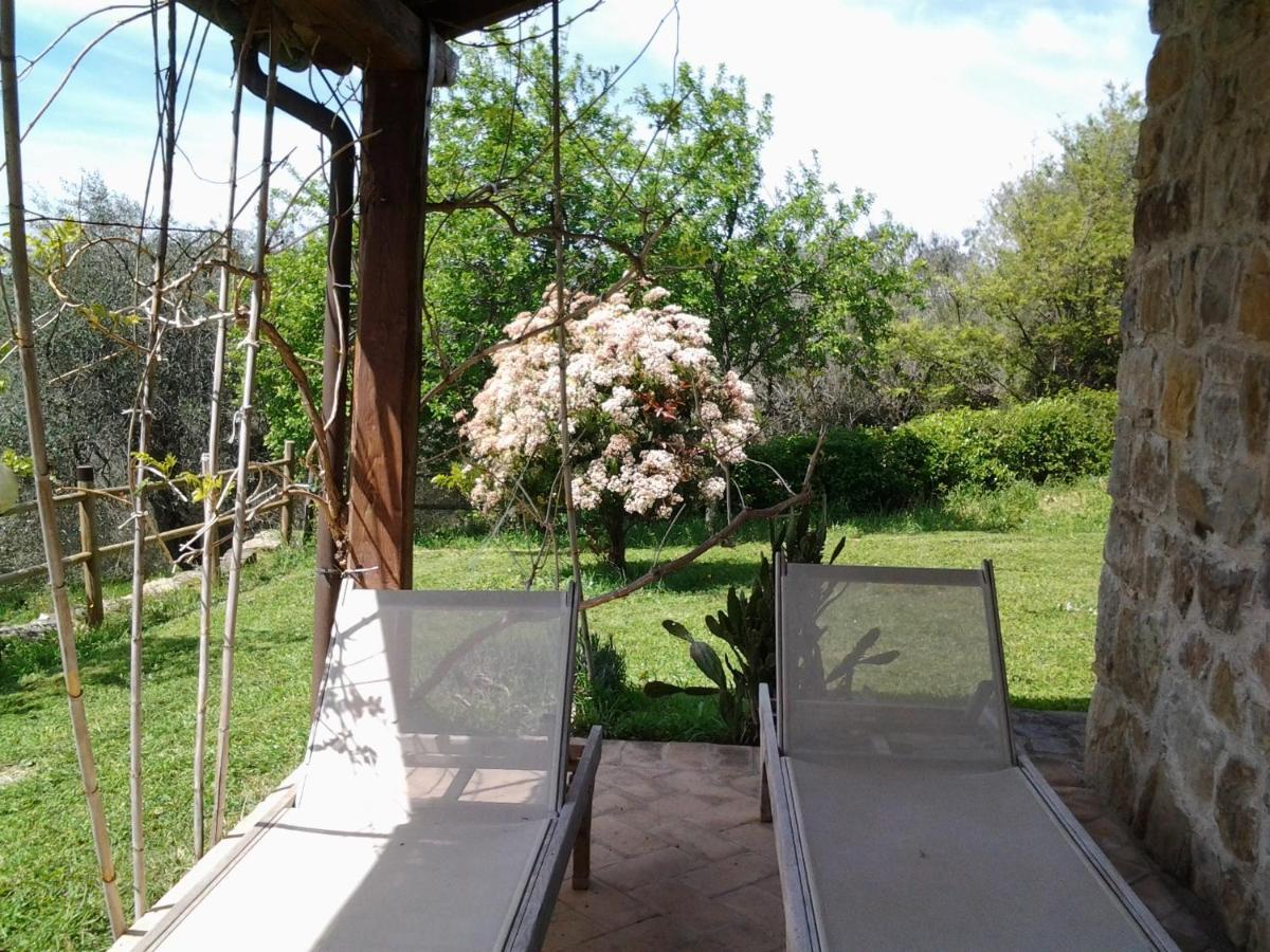 Agriturismo Casa Fibbianello Semproniano Eksteriør bilde