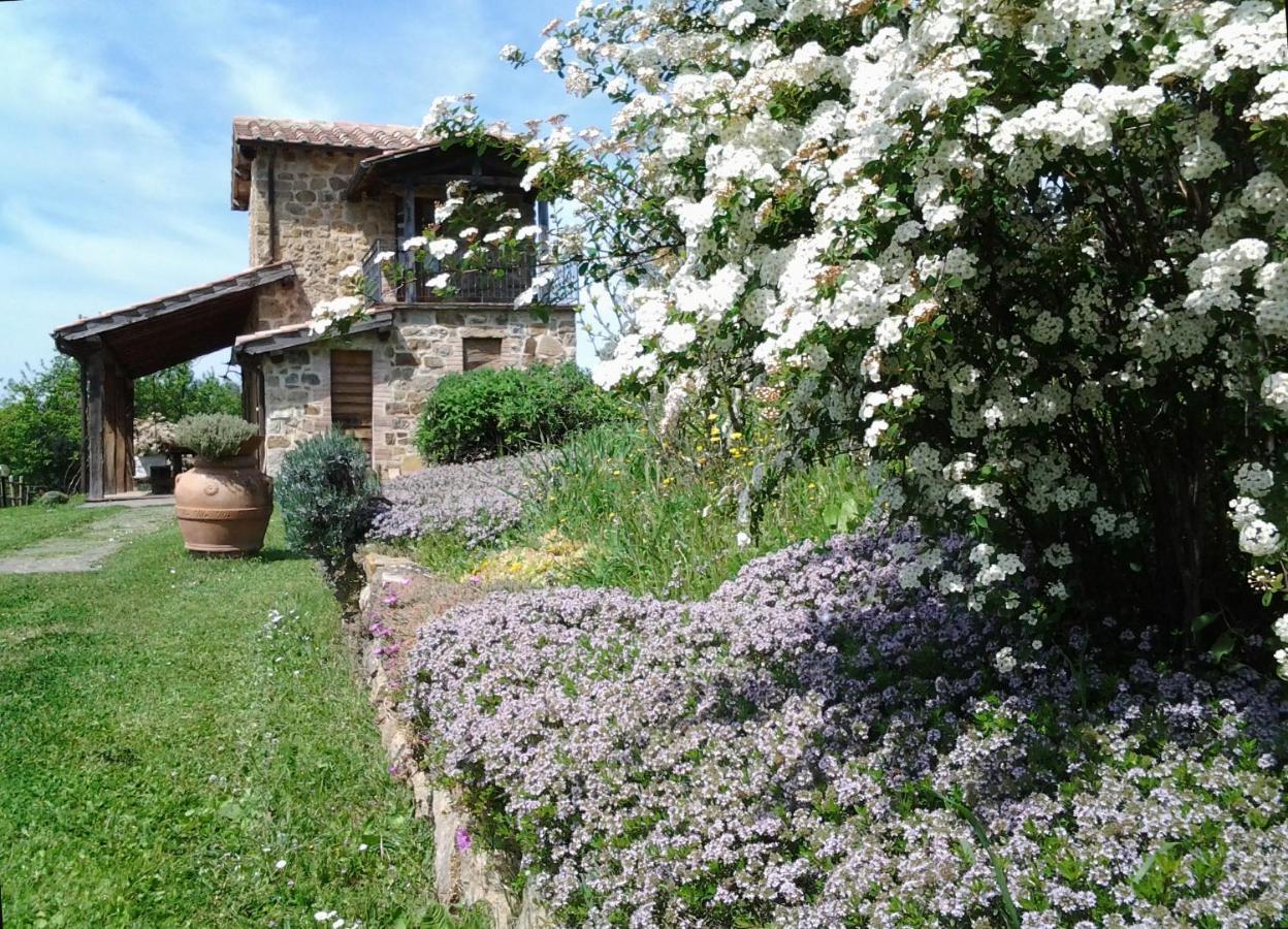 Agriturismo Casa Fibbianello Semproniano Eksteriør bilde
