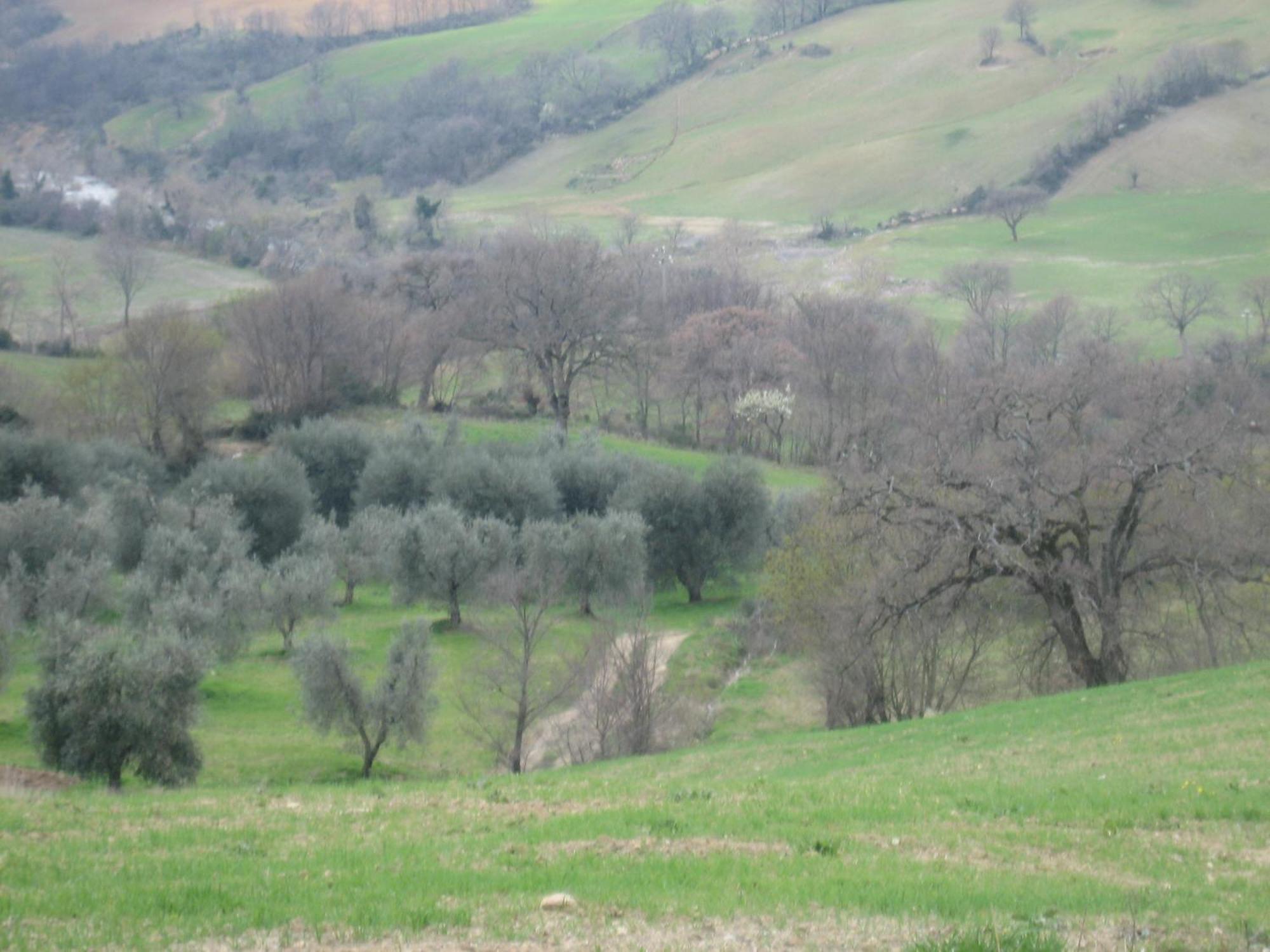 Agriturismo Casa Fibbianello Semproniano Eksteriør bilde