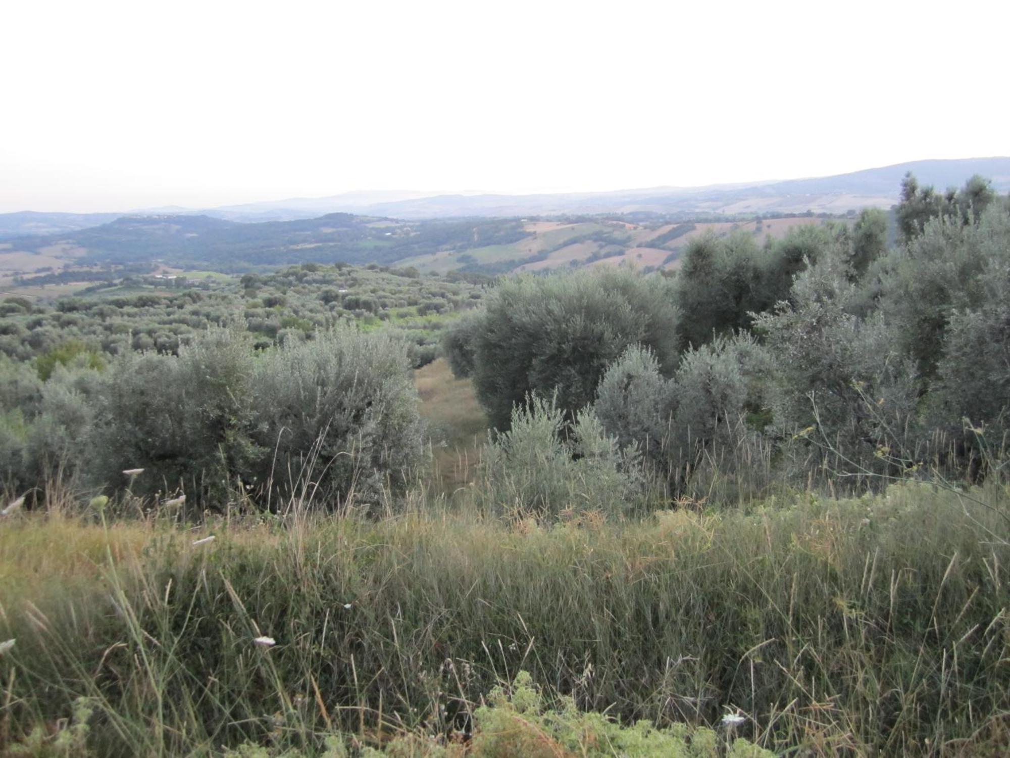Agriturismo Casa Fibbianello Semproniano Eksteriør bilde