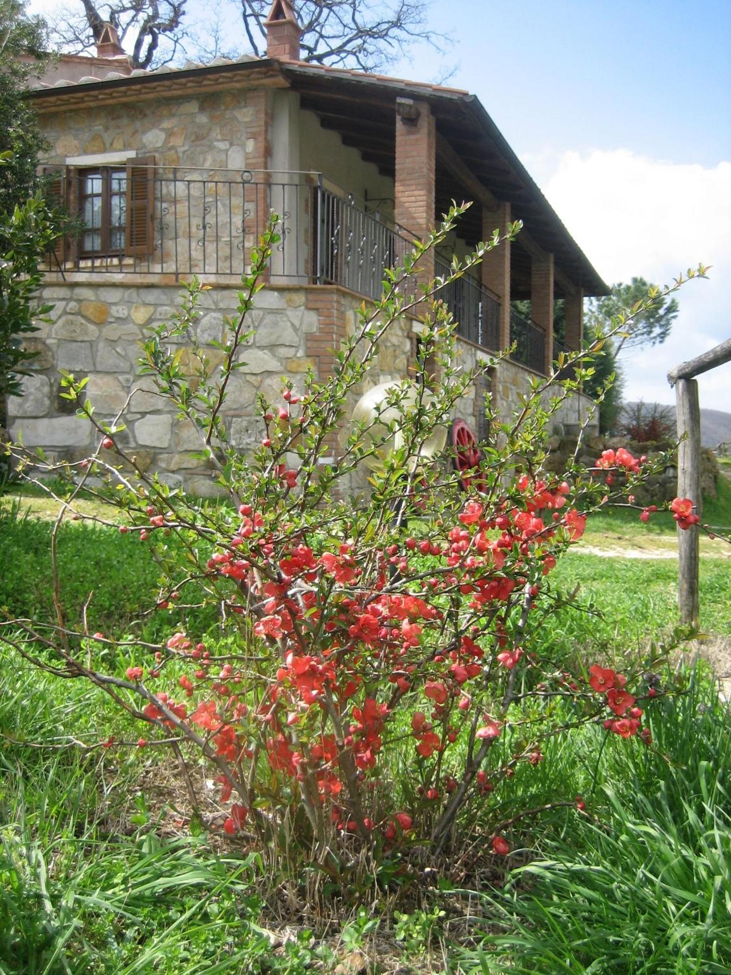 Agriturismo Casa Fibbianello Semproniano Eksteriør bilde
