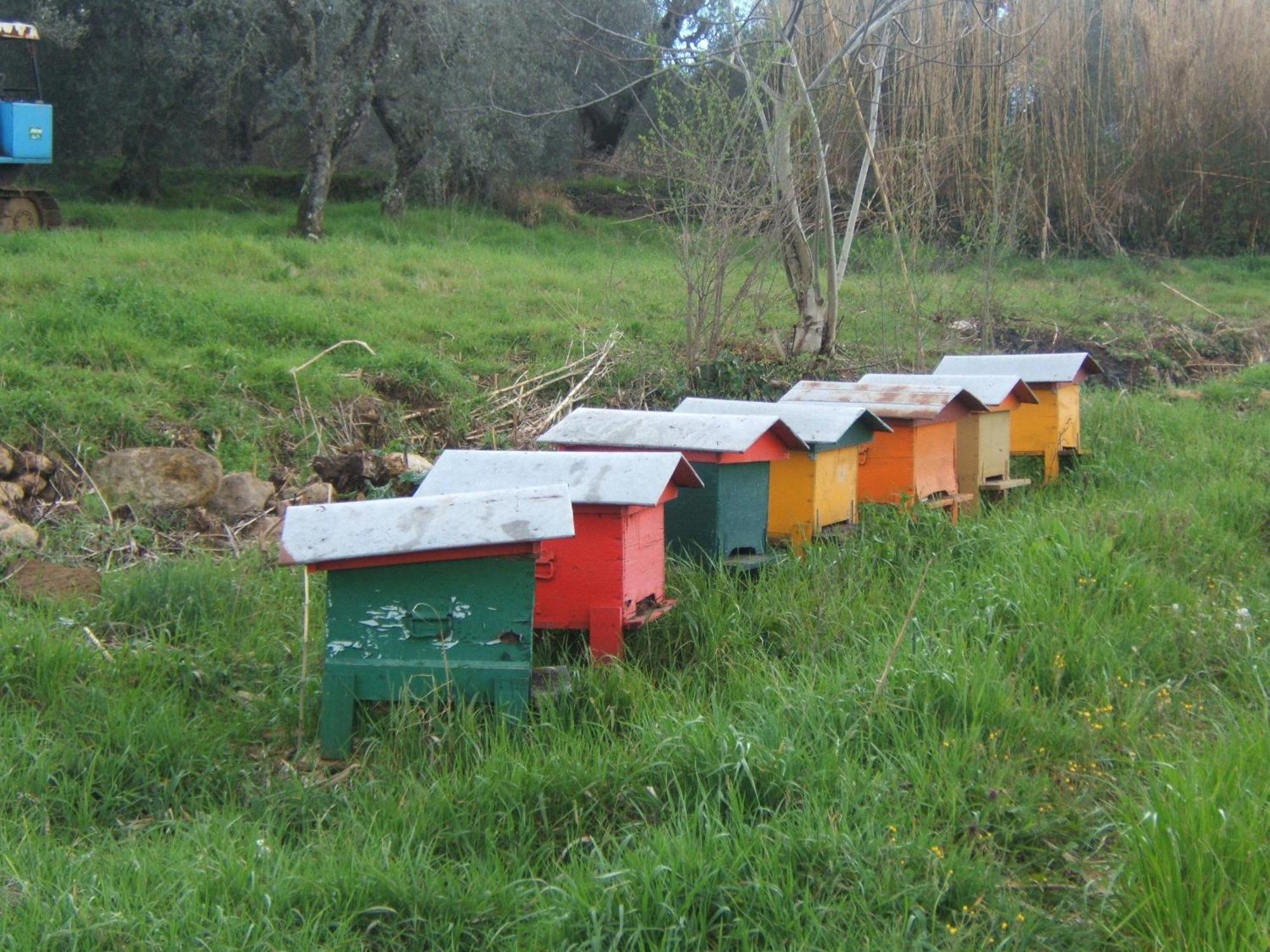 Agriturismo Casa Fibbianello Semproniano Eksteriør bilde
