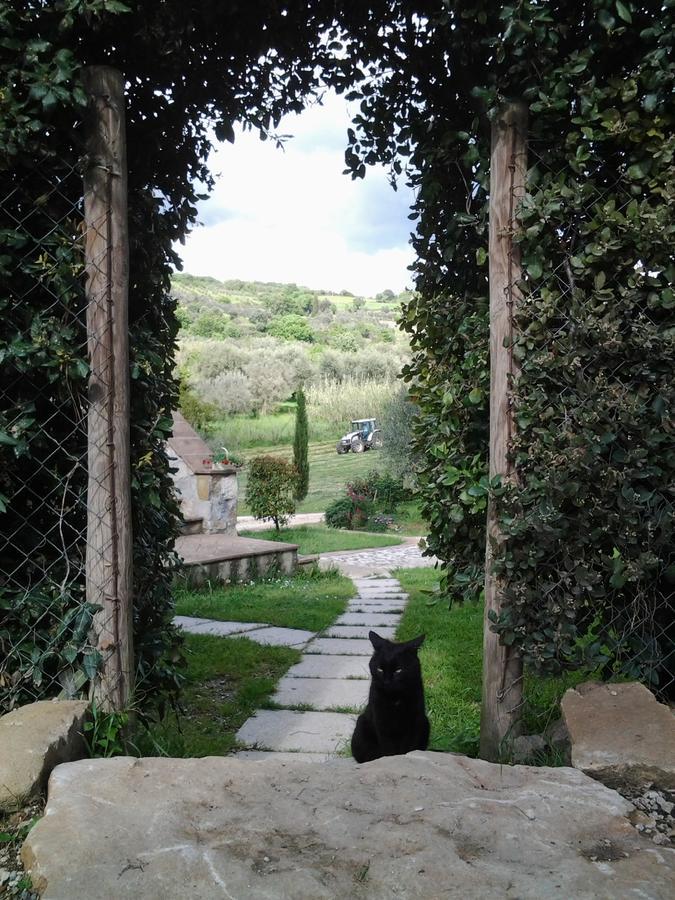 Agriturismo Casa Fibbianello Semproniano Eksteriør bilde